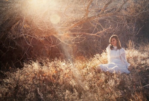 Yigal Ozeri 17