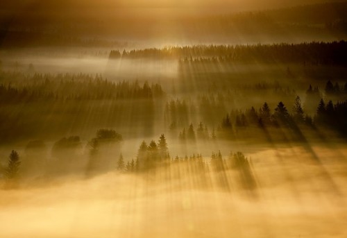 marcin sobas 01