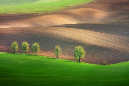 marcin sobas 03