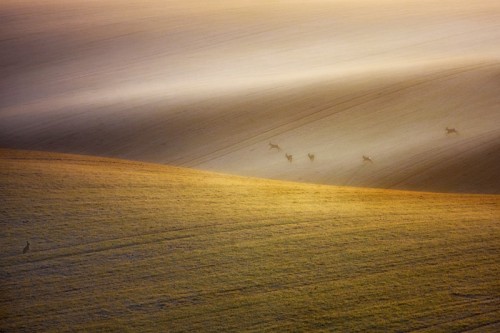 marcin sobas 10