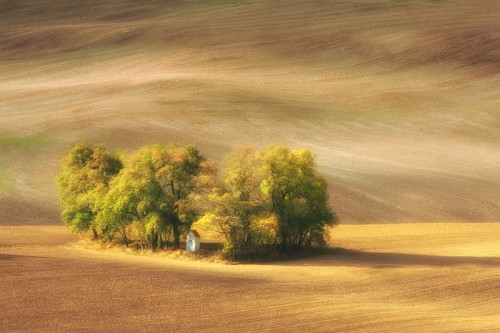 marcin sobas 12