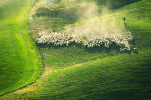 marcin sobas 18