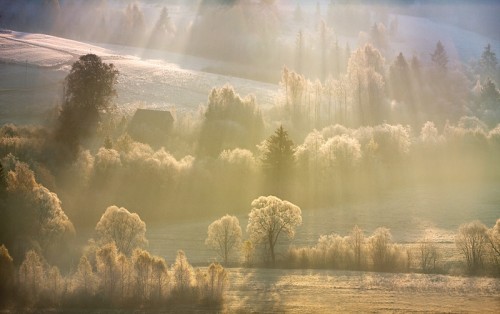 marcin sobas 19