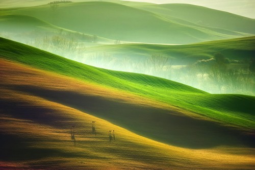 marcin sobas 24