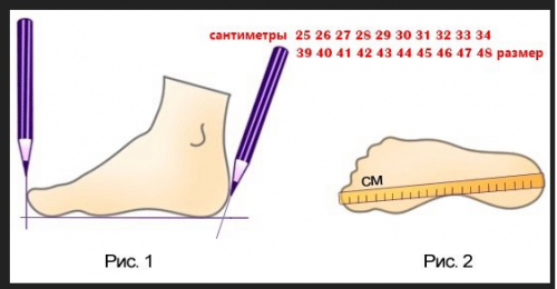 размерная сетка