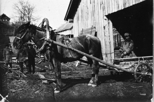 5 1933г. Мариинско Посадская судоверфь. лесопильный цех