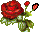 getImage.gif