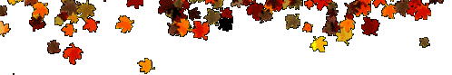 _30.gif