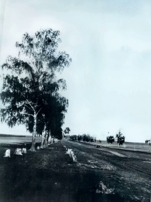 15 1903г. деревня Аккозино. «Большая дорога» в 0,5 км от больницы 2
