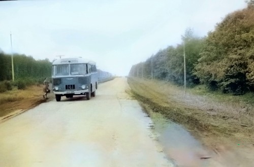 1970г. дорога Шоршелы Мариинский Посад