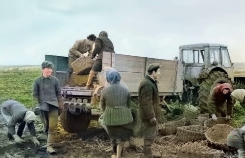 1966G.-SOVKOZ-OKTYBRSKII-STUDENTY-PED-INSTITUTA.-MARIINSKO-POSADSKII-RAION.jpg