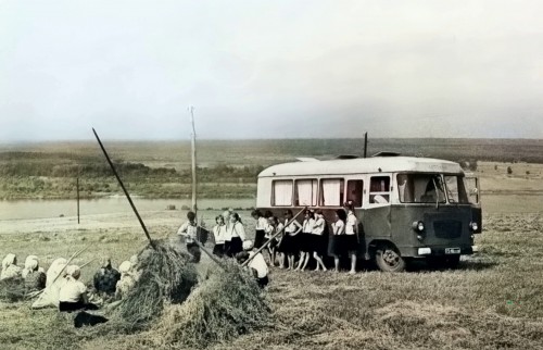 3-1965G.-DEREVNY-NERYDOVO.-VOLGA.-MARIINSKO-POSADSKII-RAION-1.jpg