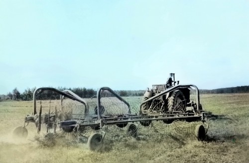 1966г. село Шоршелы. колхоз имени А.Г. Николаева. уборка. Мариинско Посадский район