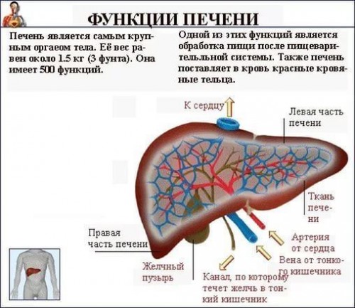 fullsize