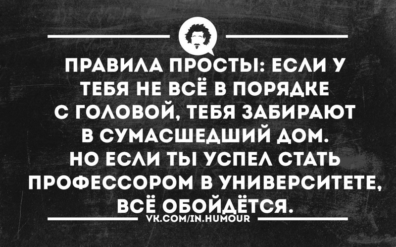 В отдельном порядке. Анекдоты про СУМАСШЕДШИХ. Безумные анекдоты. Шиза цитаты. Сарказм про СУМАСШЕДШИХ.