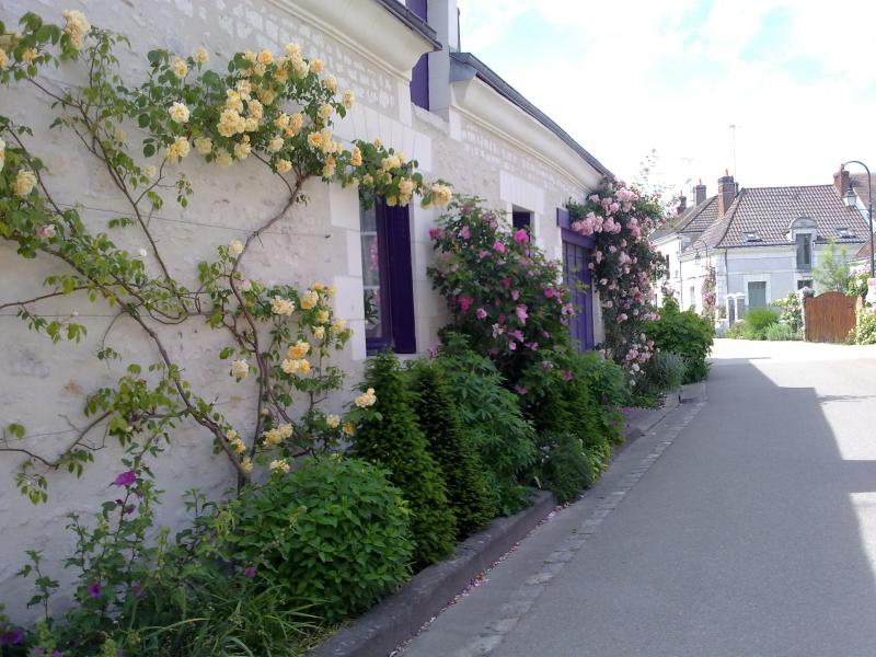 blog-1358-visite-au-village-de-chedigny-210511150837-6267381306.jpg