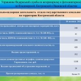 1027ce9a676e862fc9.th.jpg