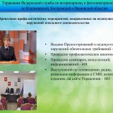 204ce7ebfc23120ba.th.jpg